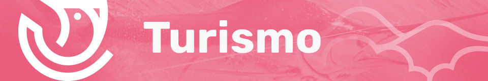 banner3