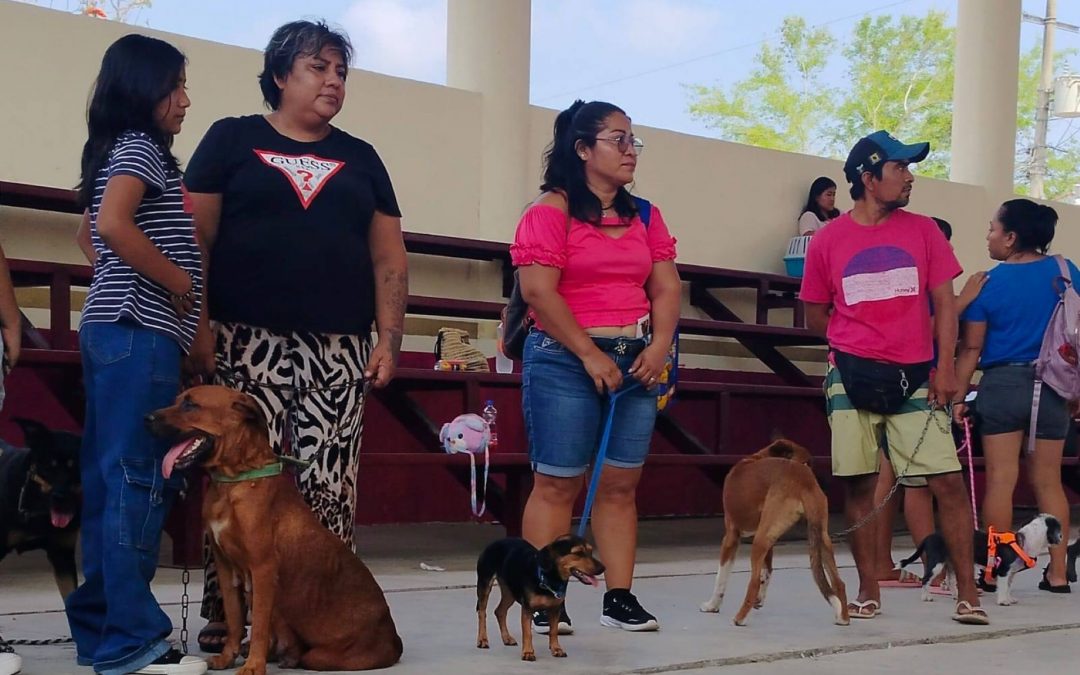 Jornada de esterilización