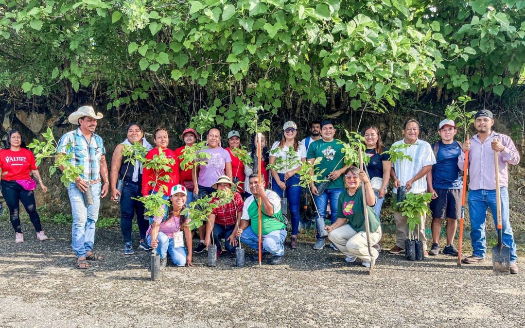 Jornada de reforestación