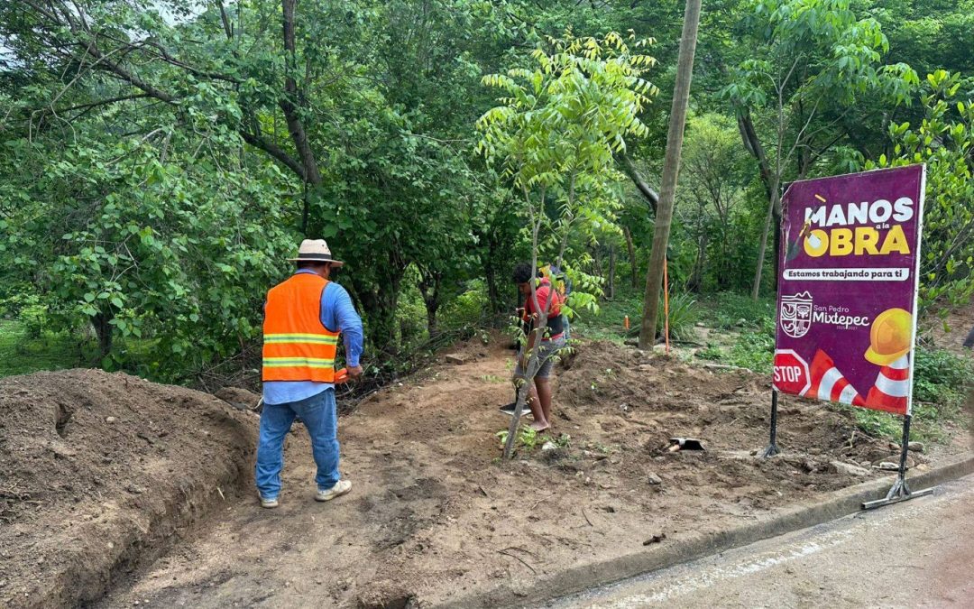 Trabajos de mantenimiento en carretera estatal N° 131