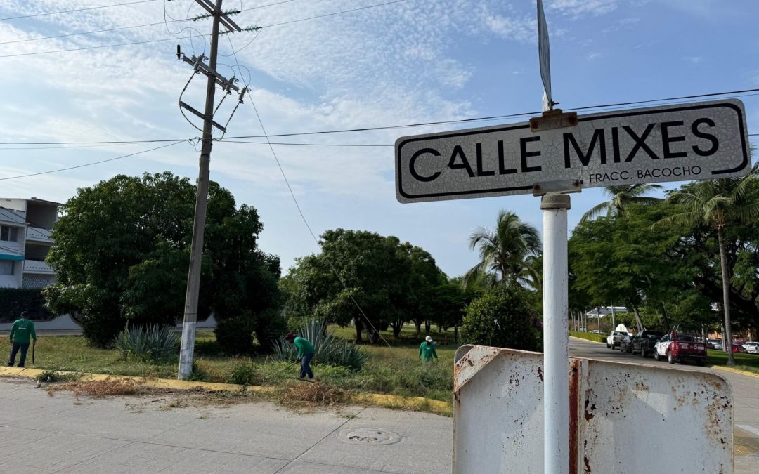 Limpieza en camellones y Jardineras.