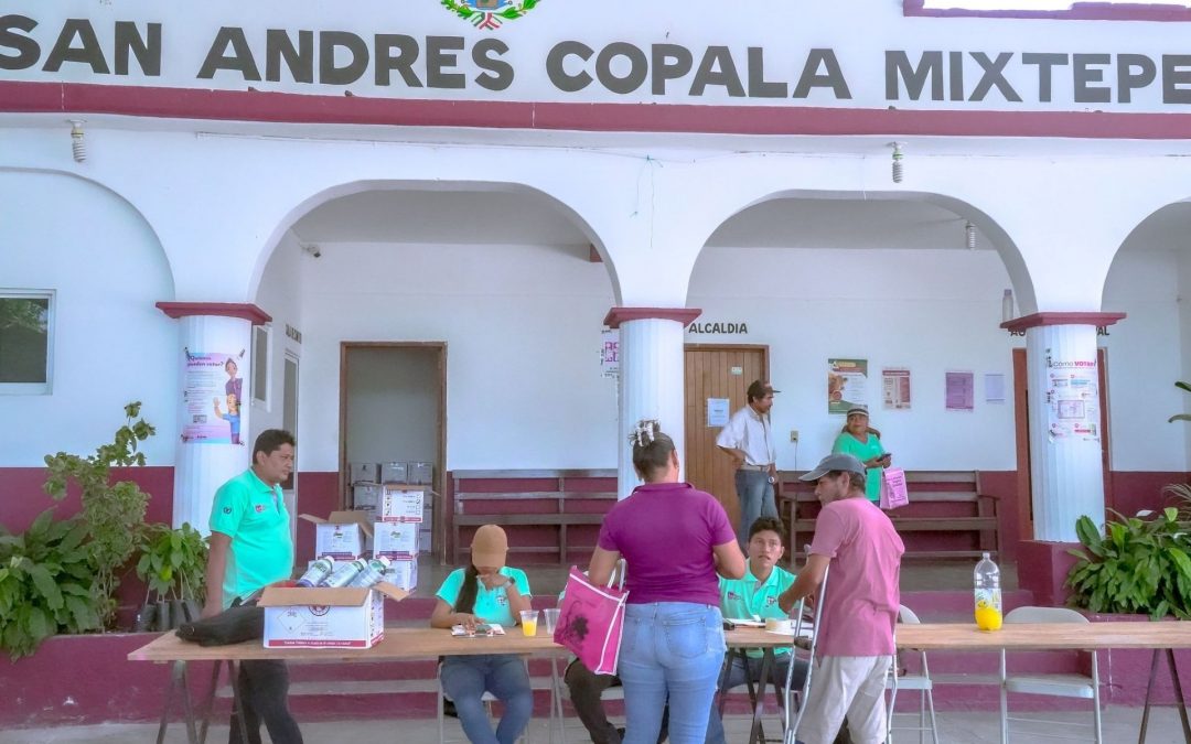 Fertilizantes líquidos de uso Agrícola