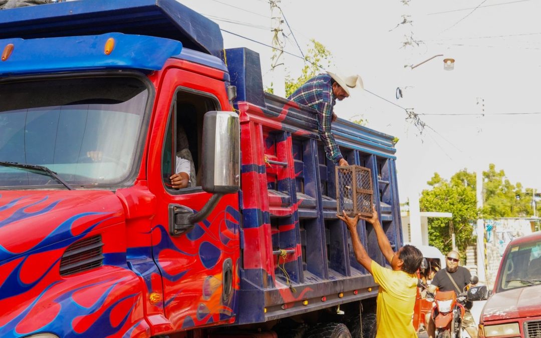 Jornada de descacharrización en colonias y barrios de Bajos de Chila