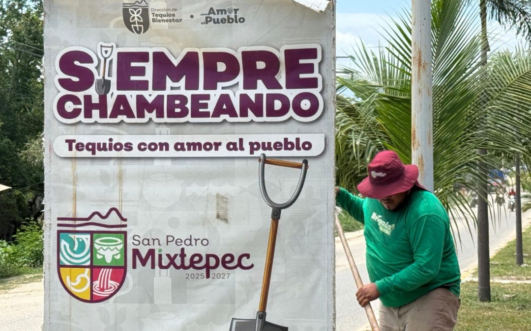 Limpieza en Camellones