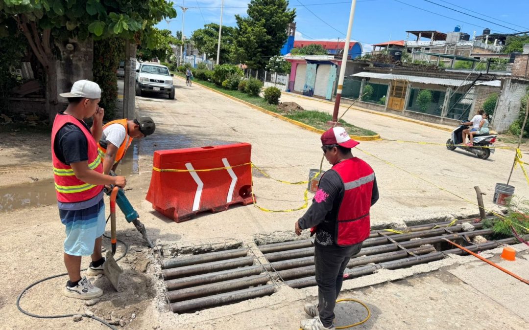 Rehabilitación y Limpieza, Bajos de Chila.