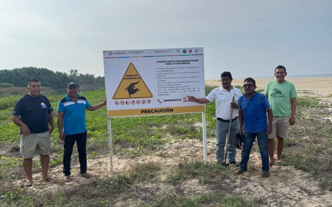 Colocación de letreros de advertencia en zona de Cocodrilos.
