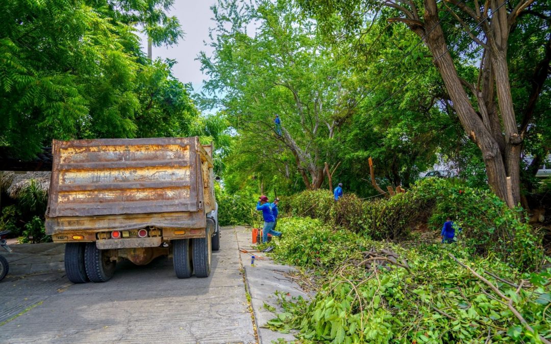 Limpieza de la Calle Lambityeco.