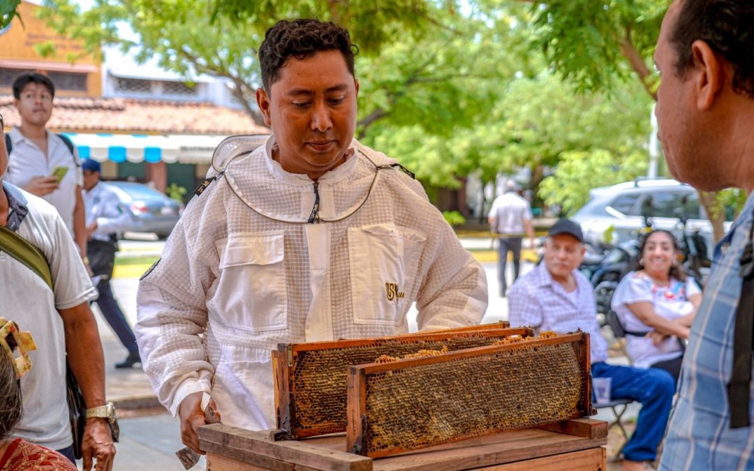 Primer Feria Apícola de San Pedro Mixtepec.