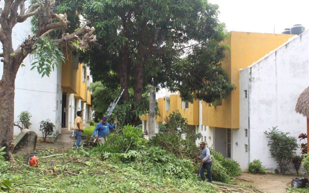 La Brigada Verde continúa trabajando por las familias de nuestro municipio.