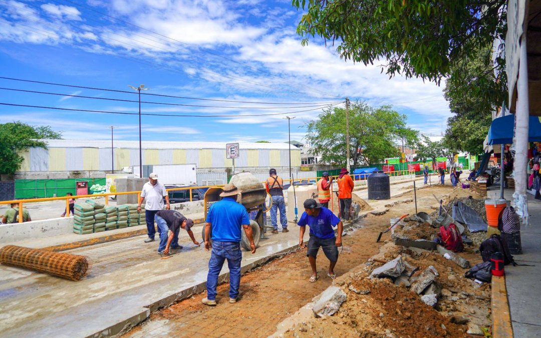 Caza Baches en Camino Real.