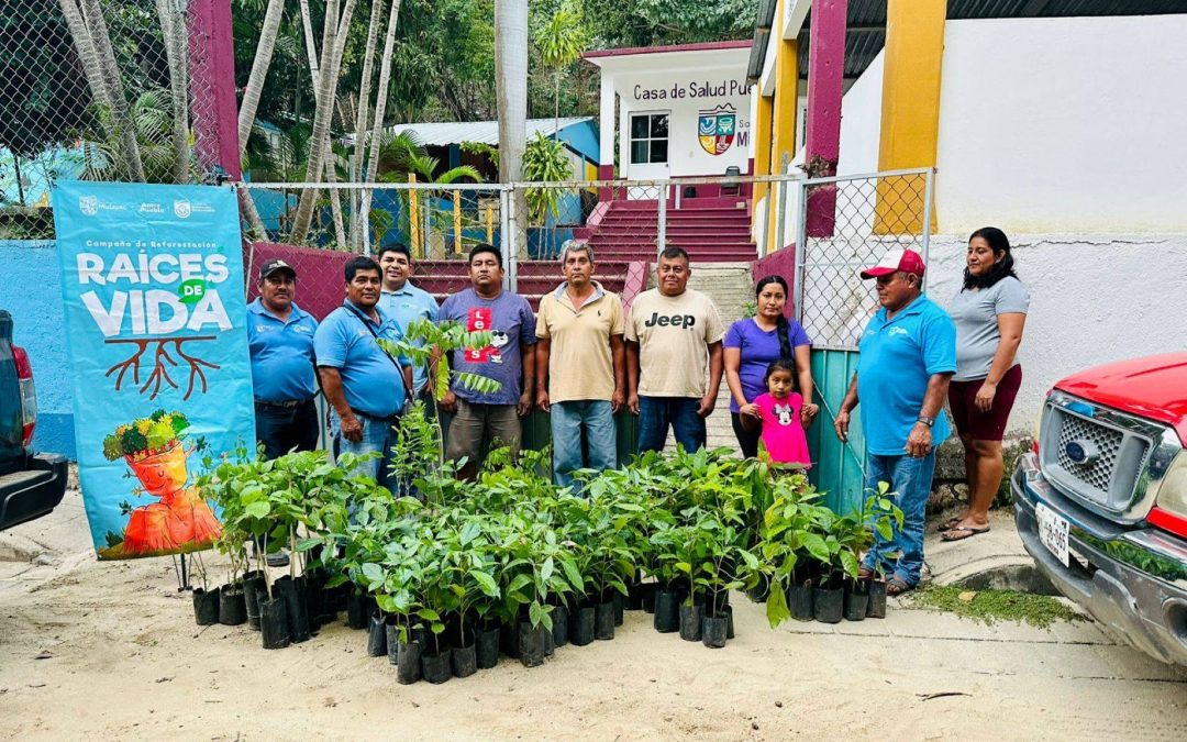 Entrega de árboles frutales y maderables.