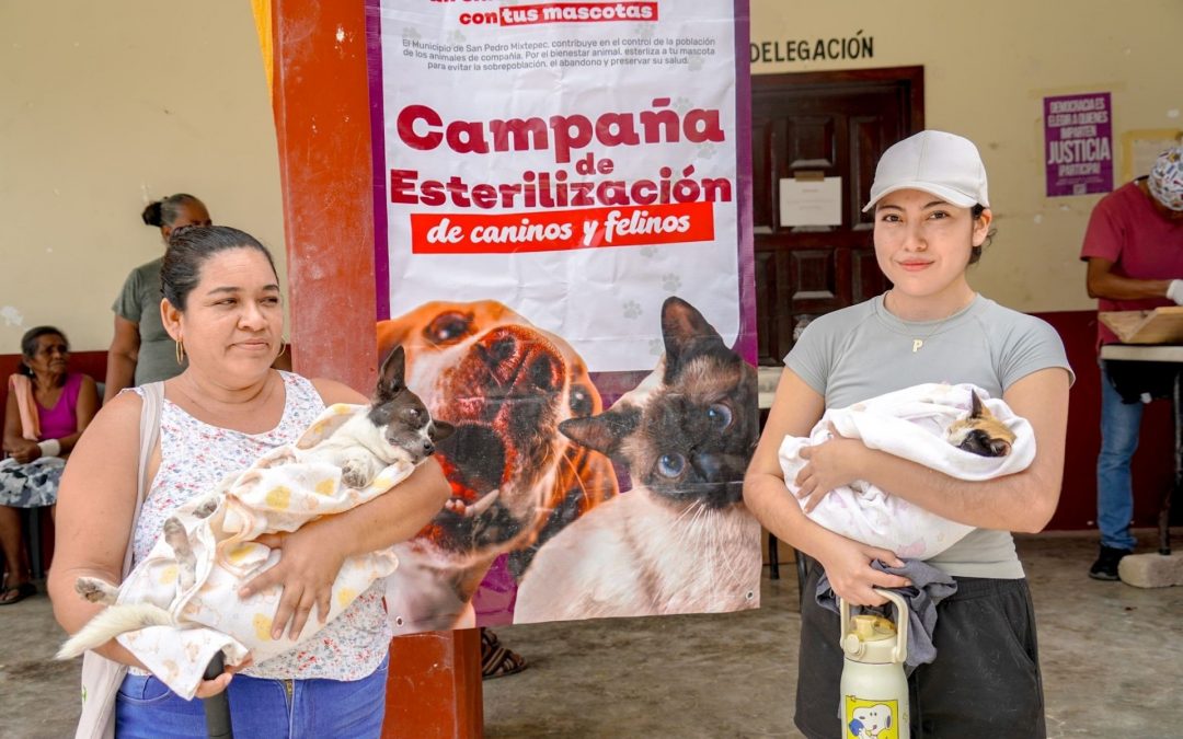 Jornadas de esterilización gratuitas.