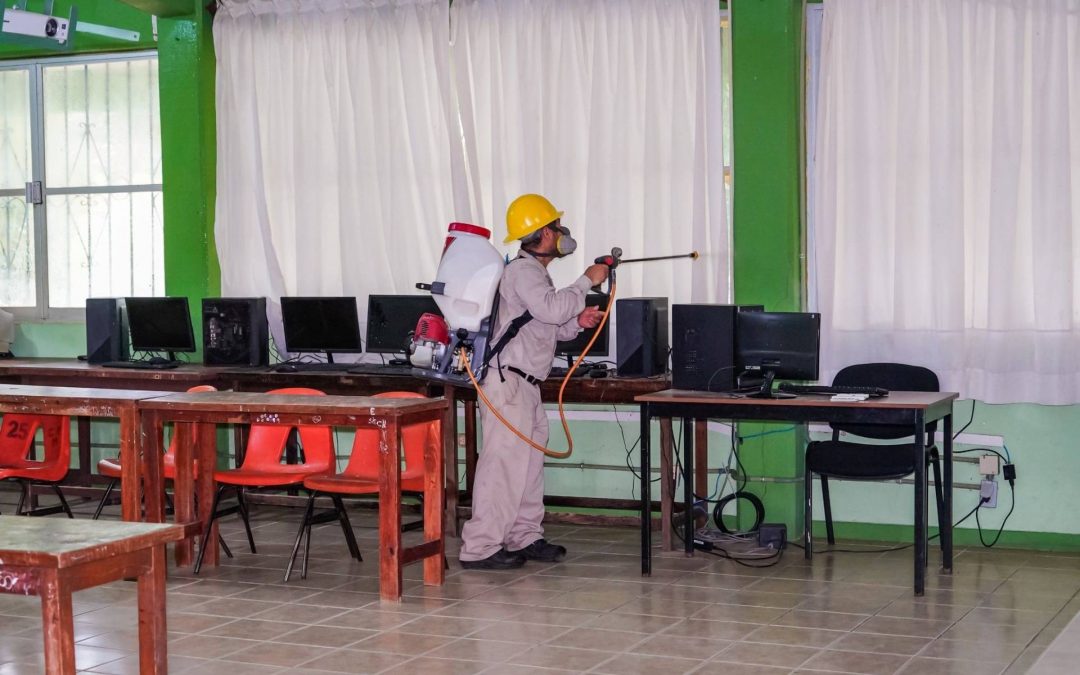 Fumigaciones con bendiocar.