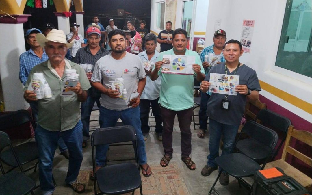 Capacitaciones y pláticas informativas.