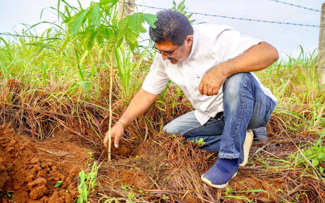Jornada de reforestación en la colonia Aviación