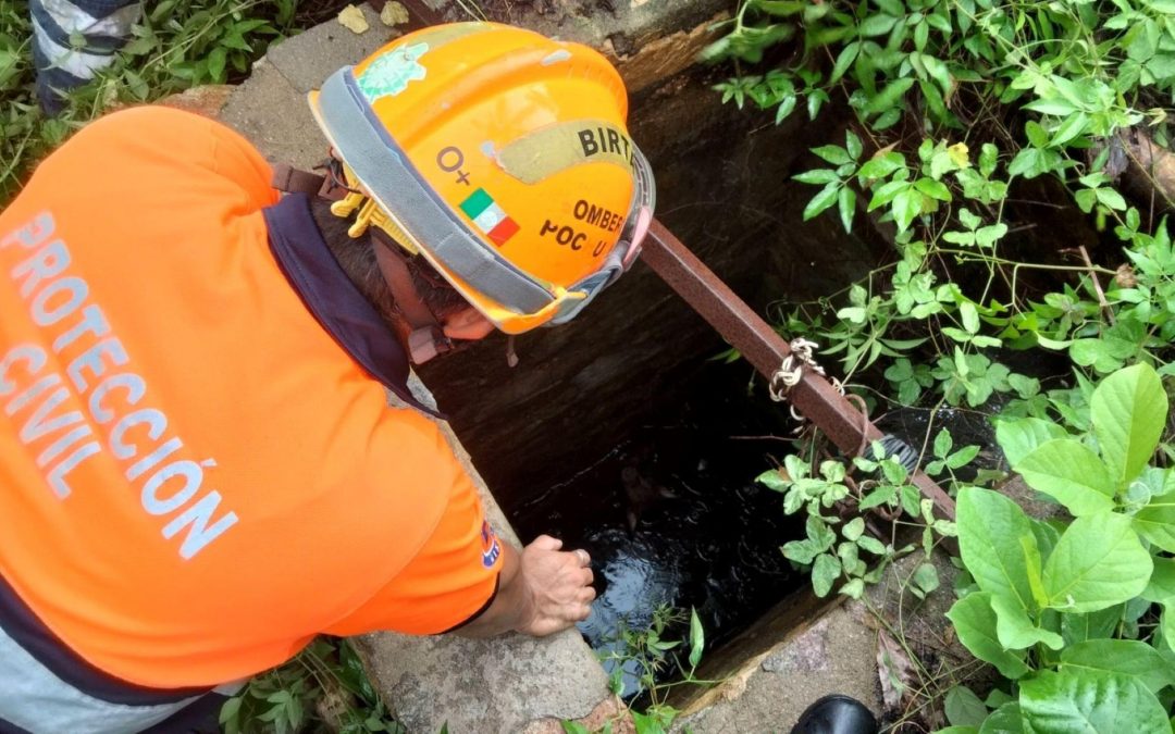 Rescate de un peludito.