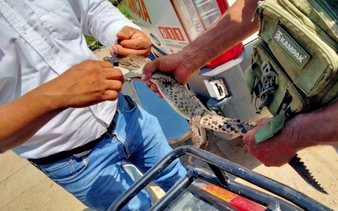 Protección Civil siempre al pendiente.