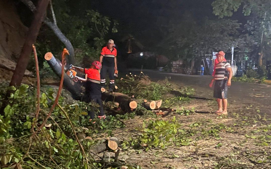 Limpia de carretera.