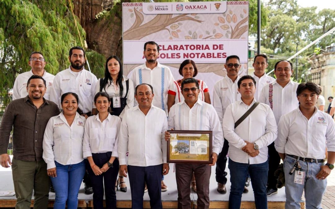 Certificaciones a los árboles más emblemáticos de Oaxaca.