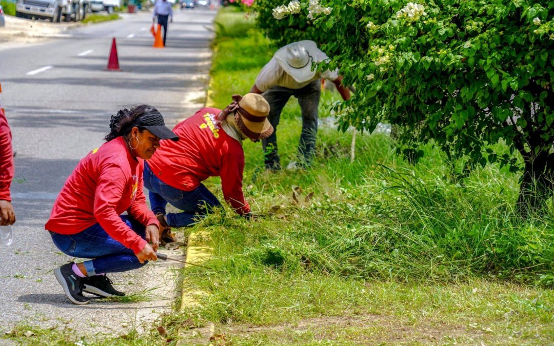 Labores de mantenimiento en el camellón del Boulevard Costero.